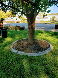 Emerald Landscape and Designs - Photo 4 - Car repair in Nampa, ID, Nampa