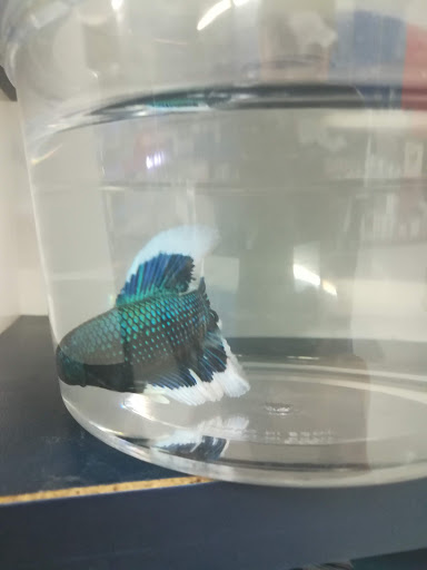 Pet Supply Store «Petco Animal Supplies», reviews and photos, 4491 Kirkwood Hwy, Wilmington, DE 19808, USA