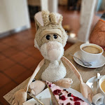 Photo n°1 de l'avis de Suse.e fait le 10/03/2024 à 12:56 sur le  Galerie Café Barth à Barth