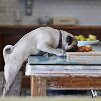 Michele Metzger at Comparion Insurance Agency - Photo 7 - Car repair in Clifton Park, NY, Albany