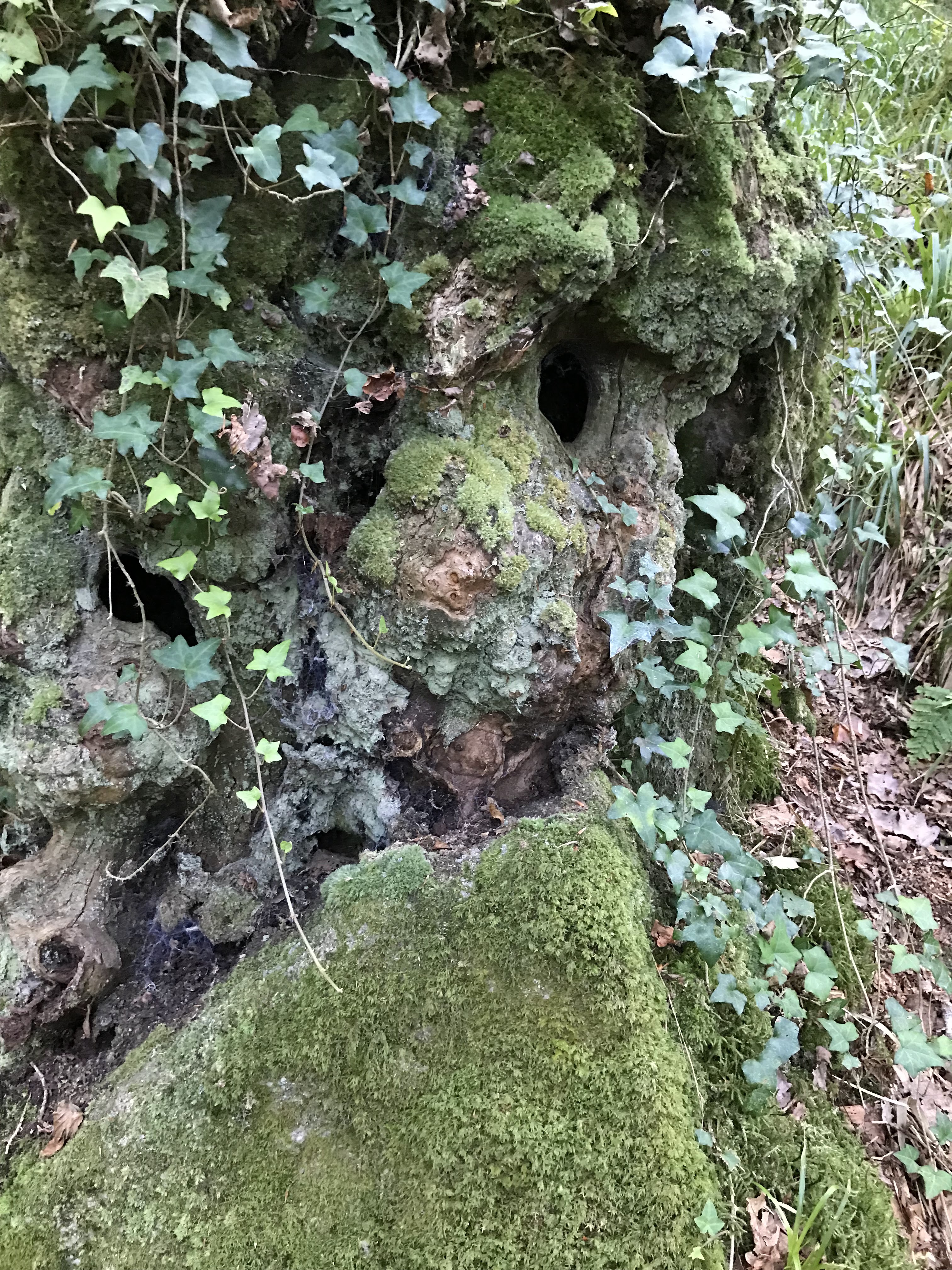 Photo n° 6 de l'avis de maxime.l fait le 28/08/2018 à 17:46