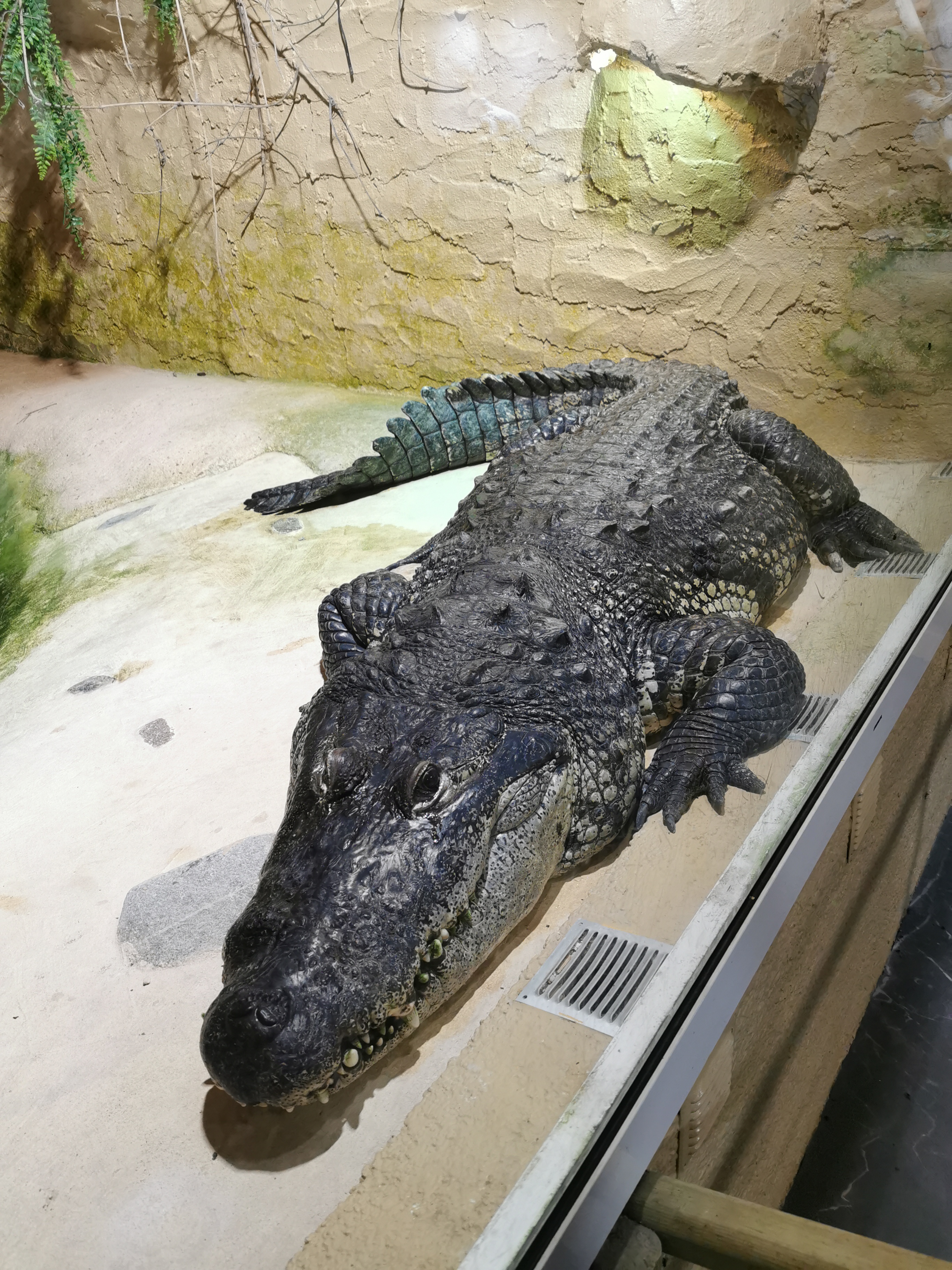 Photo n° 3 de l'avis de Philippe.i fait le 26/05/2023 à 16:03