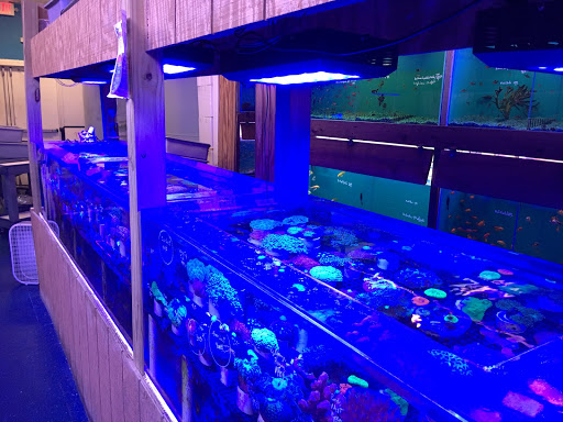 Pet Store «Pet World», reviews and photos, 7173 W Broward Blvd, Plantation, FL 33317, USA