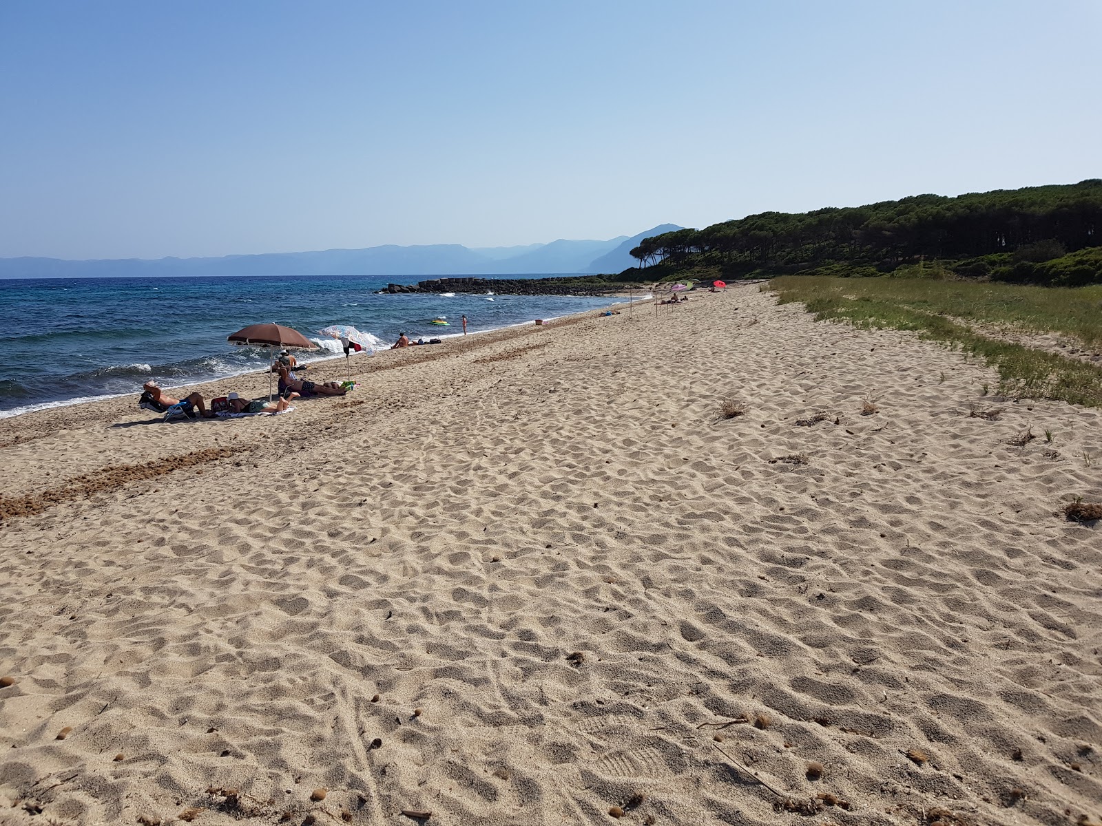 Spiaggia di Foghe Pizzinna的照片 野外区域