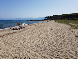 Spiaggia di Foghe Pizzinna'in fotoğrafı vahşi alan