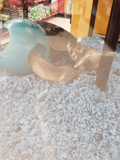 Pet Supply Store «Petco Animal Supplies», reviews and photos, 1660 Orchard Gateway Blvd, North Aurora, IL 60542, USA