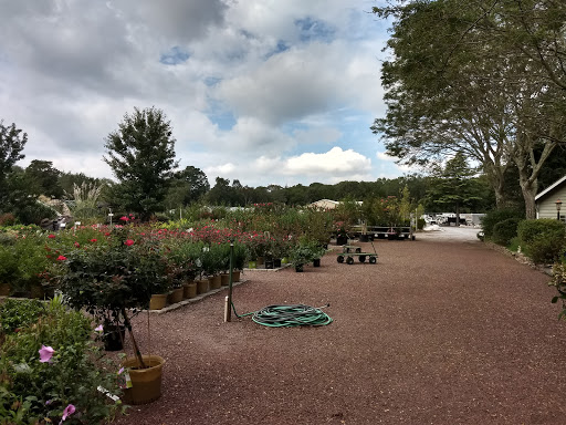 Landscaper «Garden Greenhouse & Nursery», reviews and photos, 1919 U.S. 9, Cape May Court House, NJ 08210, USA