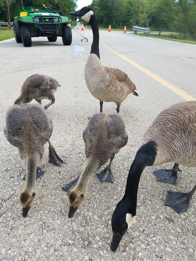 Park «Loyd Park», reviews and photos, 3401 Ragland Rd, Grand Prairie, TX 75052, USA