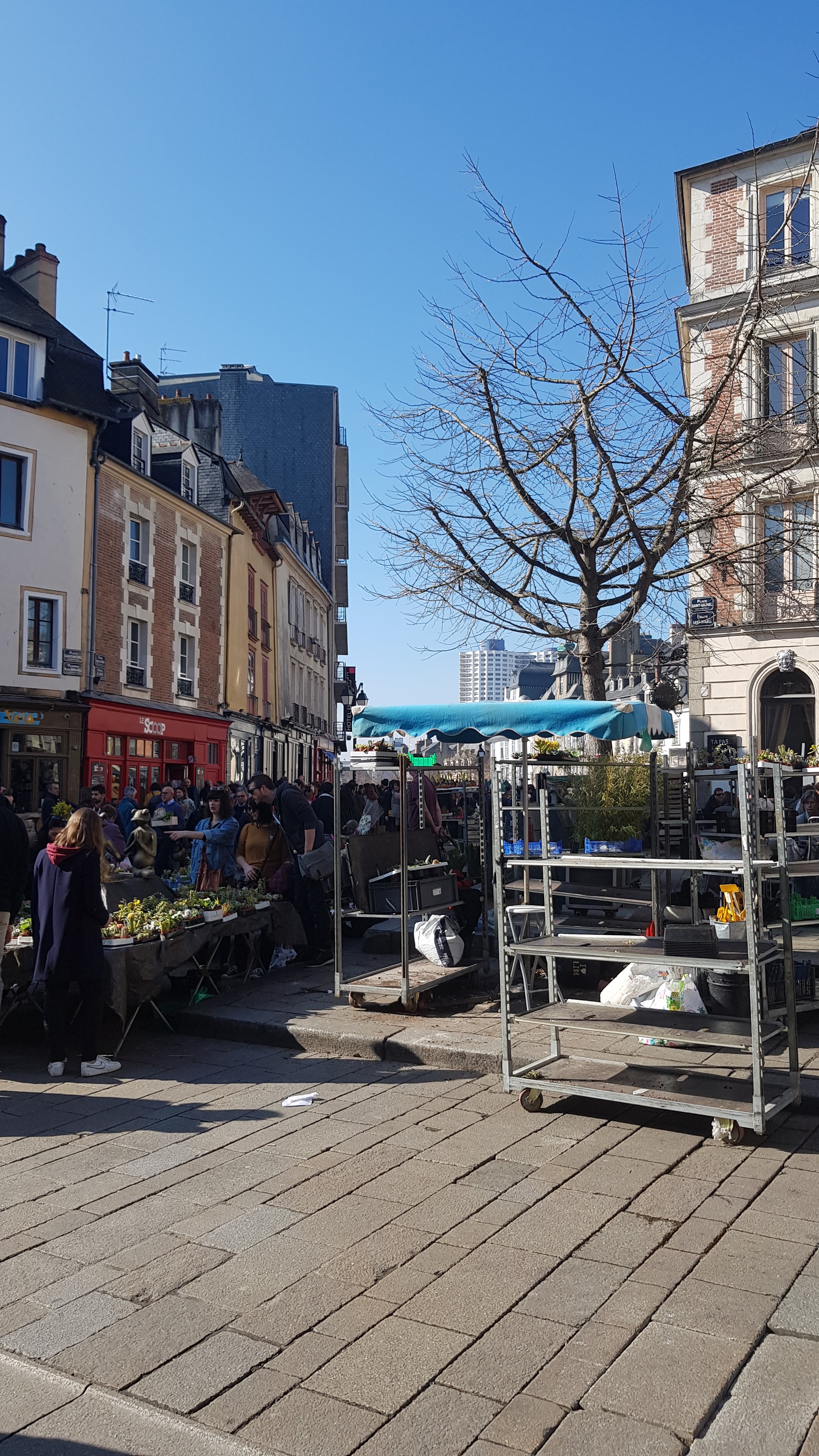 Photo n° 1 de l'avis de Aude.E fait le 23/02/2019 à 12:51