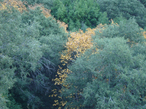 Observation Deck «Inspiration Point», reviews and photos, Echo Mountain (Mount Lowe Railroad Trail), Altadena, CA 91001, USA