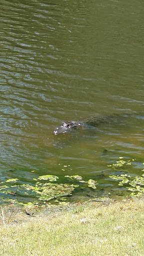 Golf Club «Palmetto Hall Plantation Golf and Country Club», reviews and photos, 108 Fort Howell Dr, Hilton Head Island, SC 29926, USA