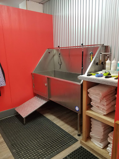 Pet Supply Store «Woof’s Dog Bakery and Holistic Pet Nutrition Center», reviews and photos, 1031 Chetco Ave, Brookings, OR 97415, USA