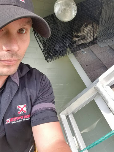 Animal Control Service «Xceptional Wildlife Removal», reviews and photos