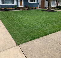 Epic lawn care and fixer - Photo 6 - Car repair in , Chicago