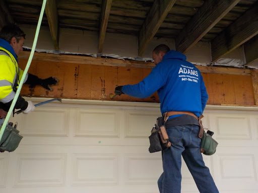 Roofing Contractor «Adams Roofing Professionals», reviews and photos, 495 Crossen Ave, Elk Grove Village, IL 60007, USA