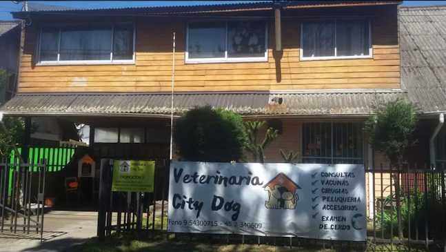 Opiniones de Veterinaria City Dog en Temuco - Veterinario