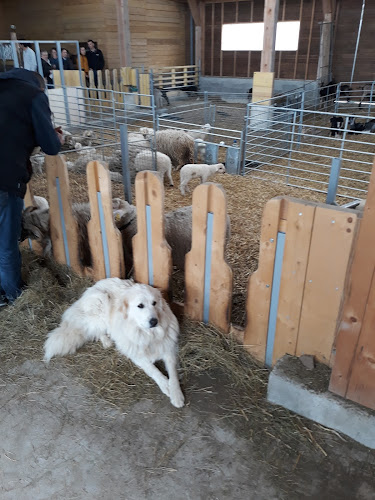 Ferme Equestre du Mazel à Antrenas