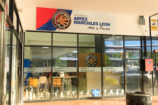 Artes Marciales Leon