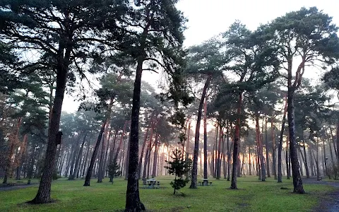 Park. Zbigniew Zaluski image