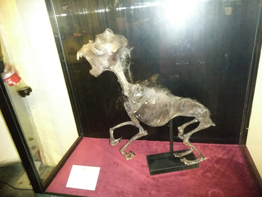 Amusement Park «House of Horror - Haunted Carnival», reviews and photos, 1455 NW 107th Ave, Doral, FL 33172, USA