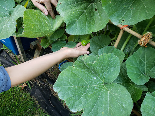 Health Food Store «Vineyard Grocer», reviews and photos, 294 State Rd, Vineyard Haven, MA 02568, USA