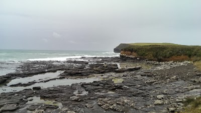 Photos of The Catlins