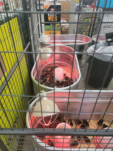 Home Improvement Store «Tractor Supply Co.», reviews and photos, 921 River Rd, Charlottesville, VA 22901, USA