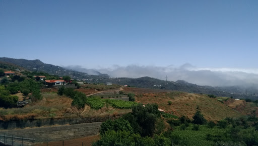 Panadería-Pastelería Pulido, El Mesón