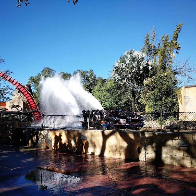 SheiKra