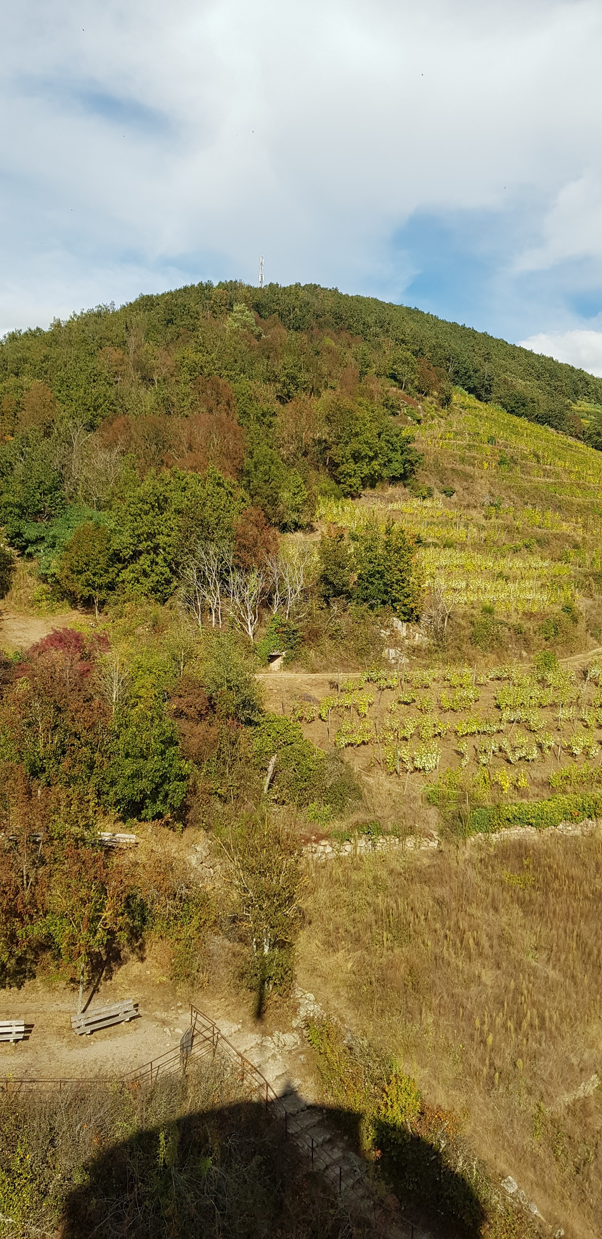 Photo n° 25 de l'avis de Nadine.a fait le 05/10/2021 à 15:20