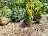 Landscape Designs Nursery - Photo 4 - Car repair in McFarland, WI, Madison