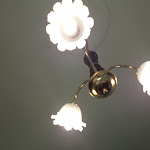 Photo n°9 de l'avis de Cornelia.u fait le 22/06/2023 à 05:19 sur le  Restaurant La Concordia à Montecatini Terme