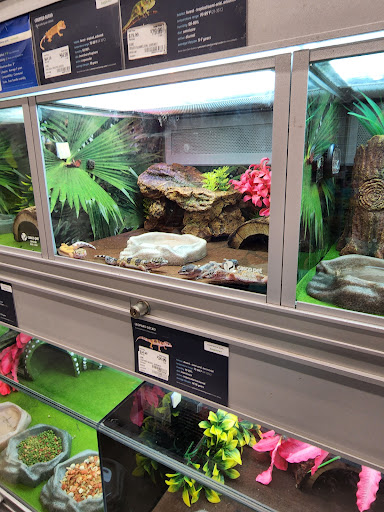 Pet Store «PetSmart», reviews and photos, 160 Passaic Ave #5, Kearny, NJ 07032, USA