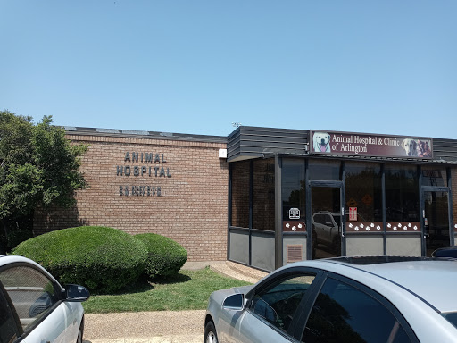 Animal Hospital & Clinic of Arlington image 8