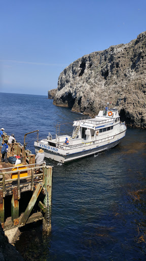 Ferry service Ventura