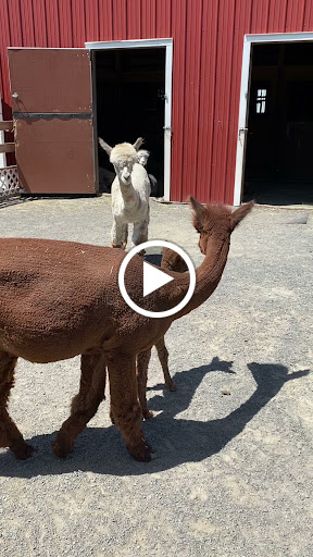 Gift Shop «Hidden Spring Lavender Farm and Gift Shoppe», reviews and photos, 890 Belle Mead-Blawenburg Rd, Skillman, NJ 08558, USA