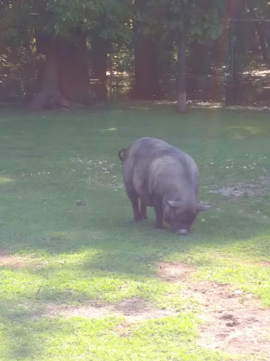 Park «Buffalo Trace Park», reviews and photos, 1540 US-150, Palmyra, IN 47164, USA