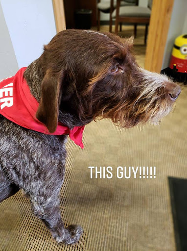 Auto Insurance Agency «Larry Thein - State Farm Insurance Agent», reviews and photos