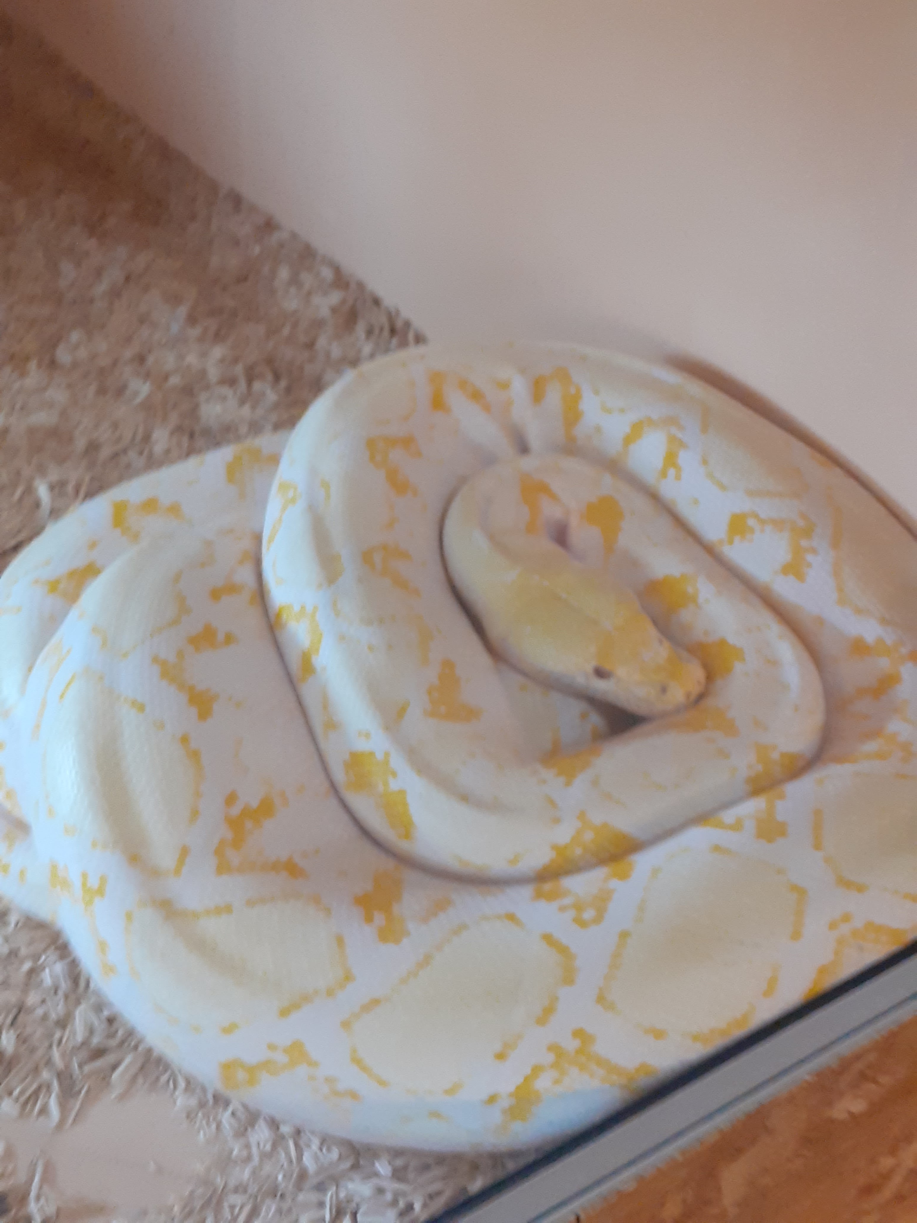 Photo n° 12 de l'avis de valjeux. fait le 26/07/2022 à 11:30