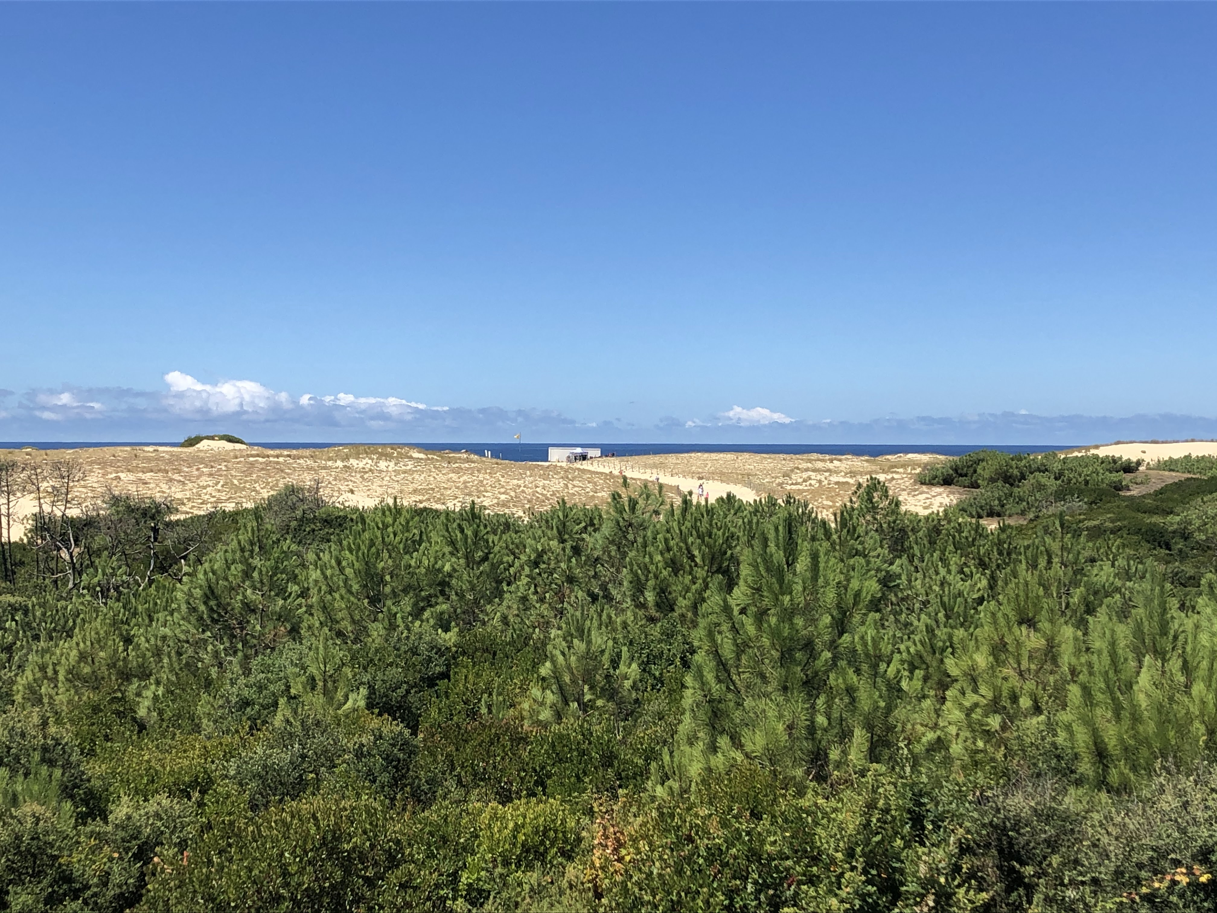 Photo n° 4 de l'avis de Nagui.3 fait le 10/07/2022 à 16:20