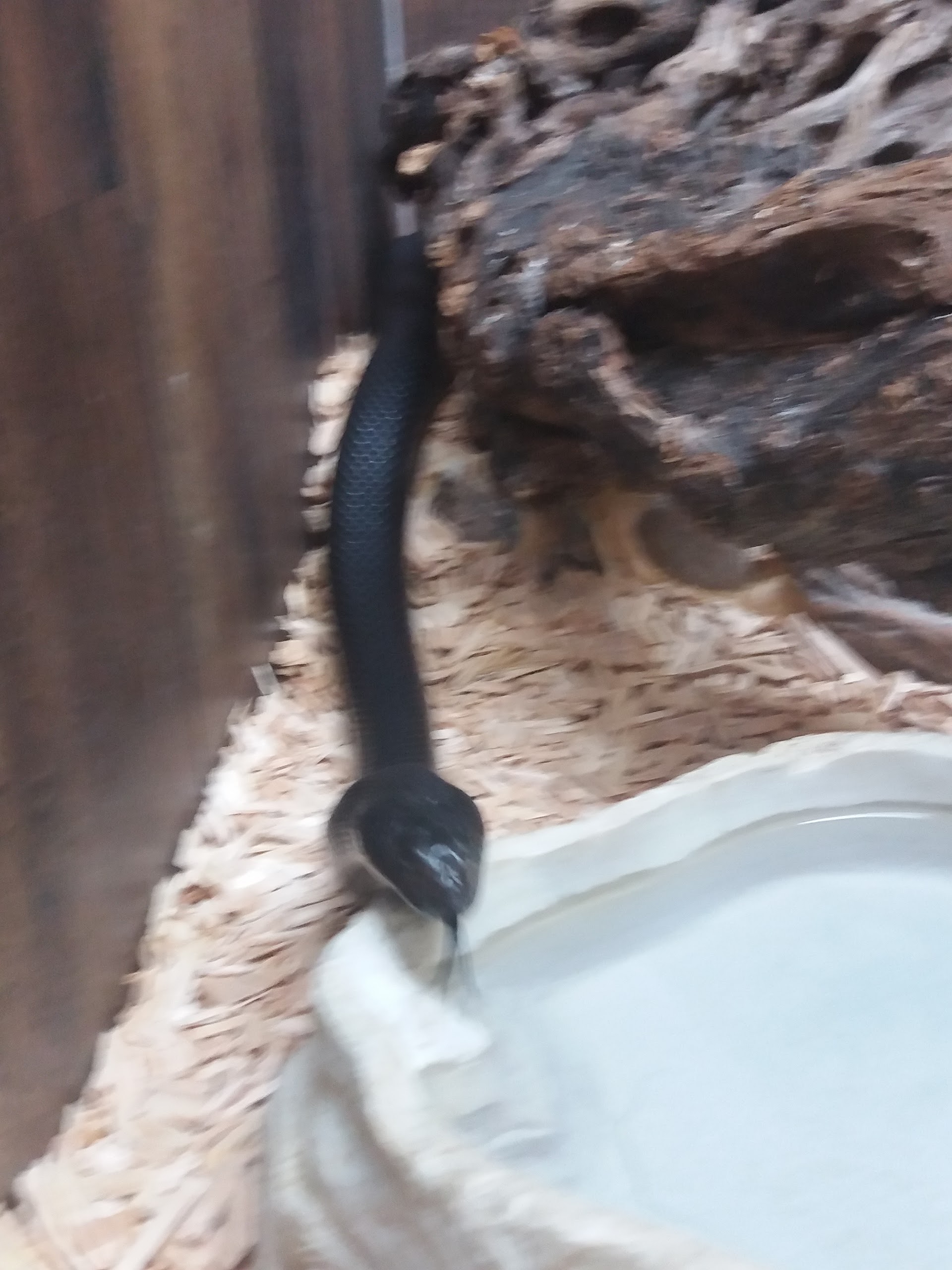 Photo n° 45 de l'avis de Damien.i fait le 21/08/2017 à 19:35