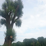 Photo n°4 de l'avis de Enzo.c fait le 04/08/2018 à 13:11 sur le  Badesee Kiosk à Perach