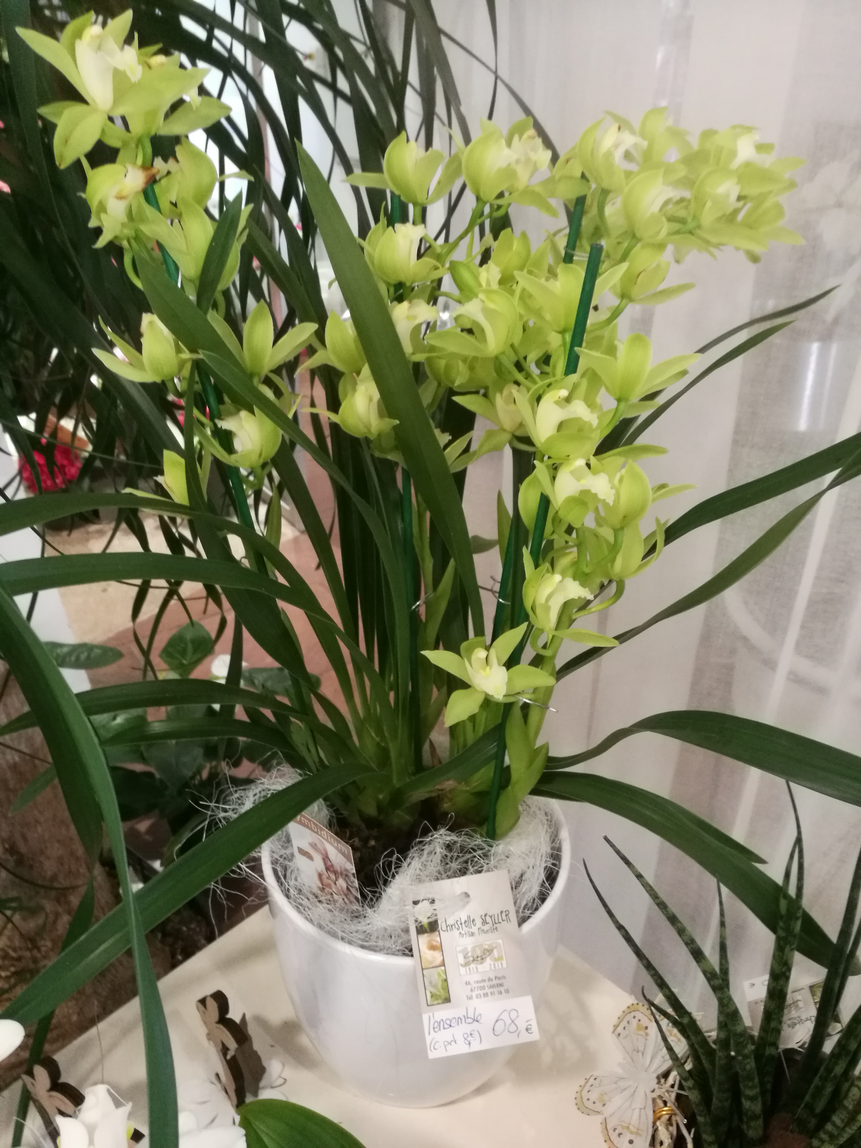 Photo n° 10 de l'avis de christophe.i fait le 11/04/2019 à 22:32