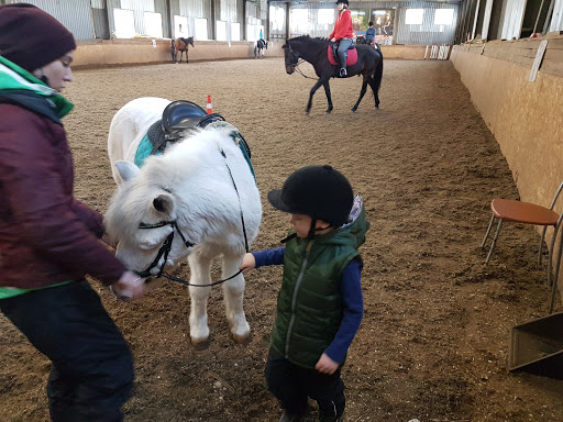 Horse riding courses Moscow
