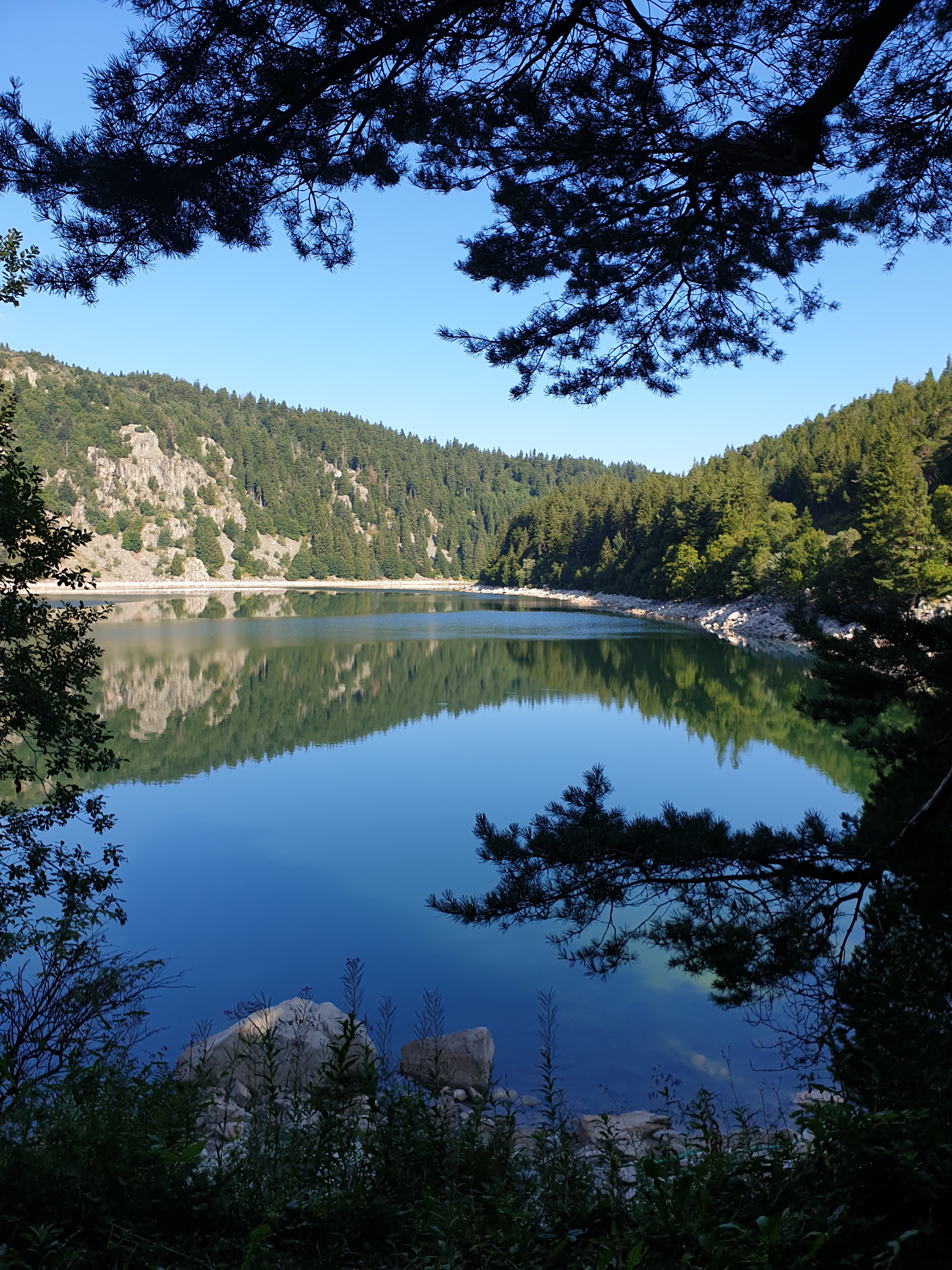 Photo n° 1 de l'avis de Osian.7 fait le 27/08/2019 à 09:30