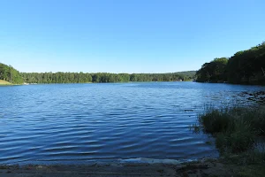 Bass Lake image