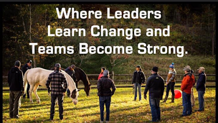 Horses and Pathfinders Leadership & Team Growth