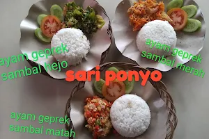 Sari Ponyo Fried Rice - Kertasari image
