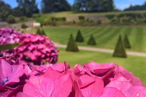 Plas Cadnant Hidden Gardens image