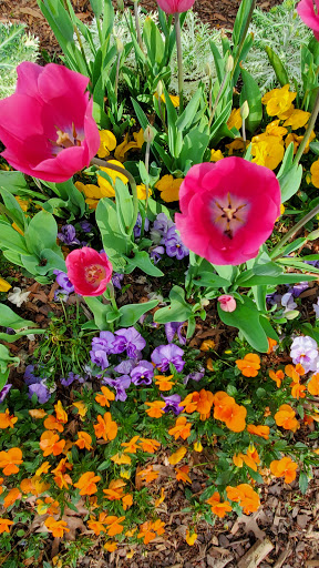 Non-Profit Organization «Earl Smith Strand Theatre», reviews and photos, 117 N Park Square, Marietta, GA 30060, USA